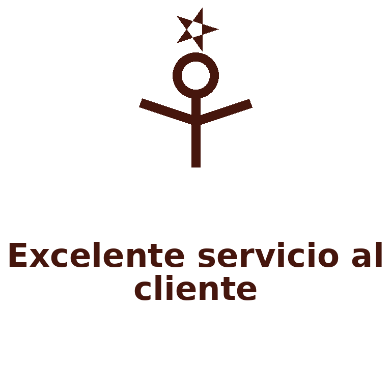 Figura humana con estrella sobre la cabeza simbolizando un excelente servicio al cliente